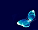 blue_butterfly-4660[1]