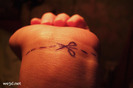 cut-here[1]