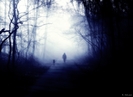 DarkForest[1]