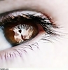 eye-wallpaper[1]