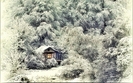 imagini_de_iarna_5[1]