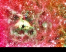 mlhovina_tarantule[1]