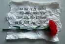 suferinta[1]