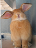 tumblr_lf9lov5tK51qzvx4ro1_500_large[1]