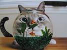 tumblr_lhsqidPA601qgb7zmo1_500_large[1]