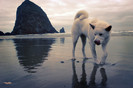 tumblr_lhxe92D7X91qgplzqo1_500_large[1]