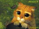 Poster din Shrek 2