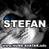 Pisica Stefan