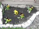 DSCN4404