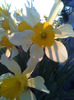 moto_3362