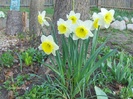 063