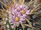 DSCF7150