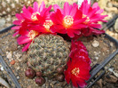 DSCF7166