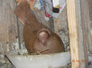 DSCN5340