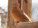 DSCN5349