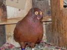 DSCN5376