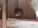 DSCN5378