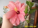 Picture 002