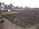Gradina de legume
