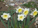 041