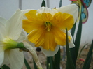 DSC02447