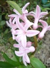 DSC02436