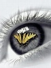 Eyes wallpapers 240x320-017