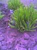 picture007