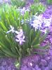 picture022