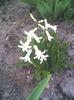 picture023