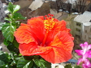 DSC01030