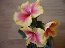 P1060444
