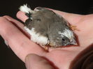 Picture 1237
