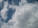 Picture 1333