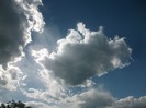 Picture 1398