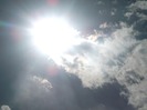 Picture 1404