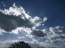 Picture 1426