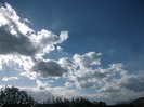 Picture 1427