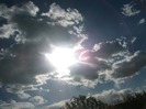 Picture 1433