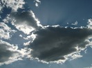 Picture 1436