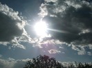 Picture 1447