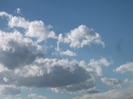 Picture 1451