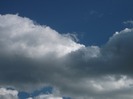 Picture 1457