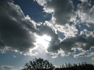 Picture 1462