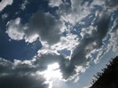 Picture 1463