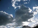 Picture 1469