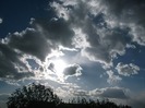 Picture 1475