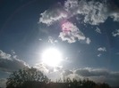 Picture 1484