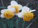 011