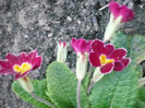 040